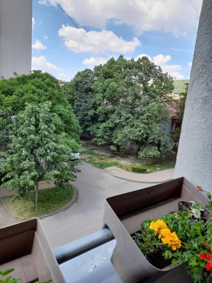 Apartman Aurora Novi Sad Dış mekan fotoğraf